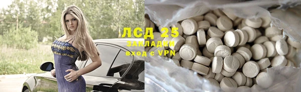 прущие грибы Балахна