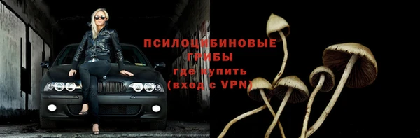 spice Балабаново