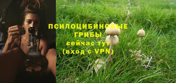 прущие грибы Балахна