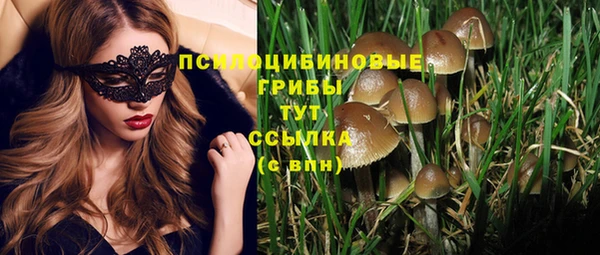 прущие грибы Балахна