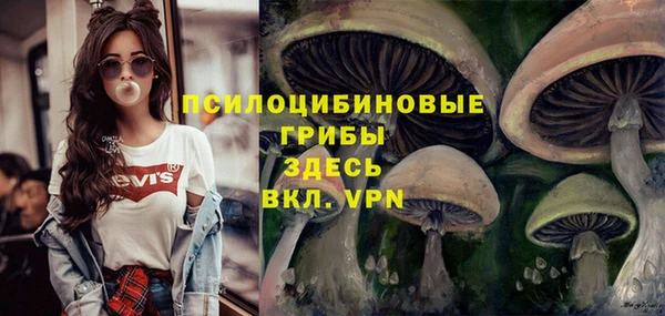прущие грибы Балахна