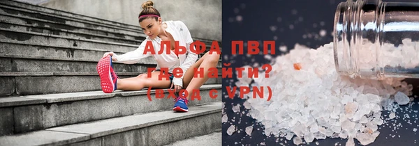 прущие грибы Балахна