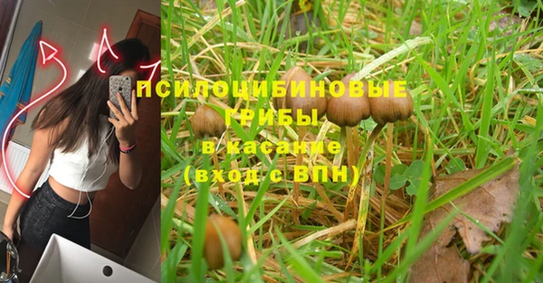 spice Балабаново